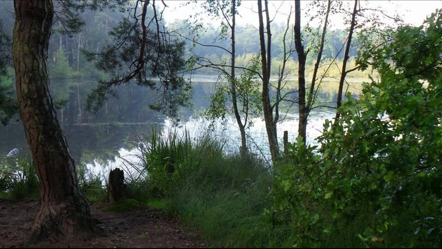Others 5, Tussen Heide en Bos, unwind in nature, Limburg