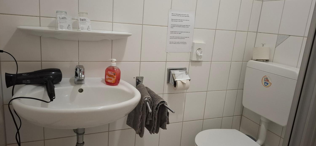 Bathroom 3, Gasthaus Schwanen, Ortenaukreis