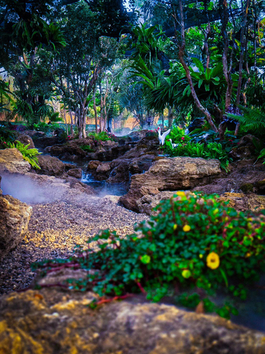 Others 5, Moon Terrace Resort , Mae Rim