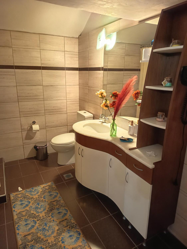 Bathroom 2, MATEO, Central Greece
