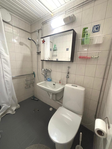 Others 5, Charming Kemi Apartment with Sauna department Free Parking, Lapland