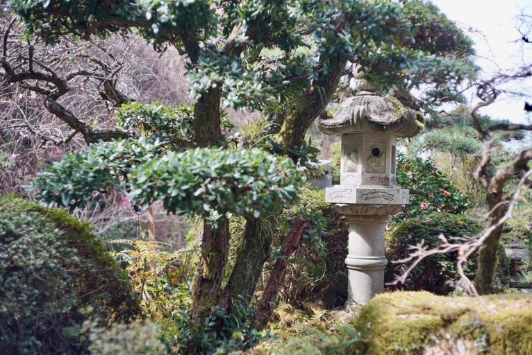 Others 5, Miyaura Goten, Imabari