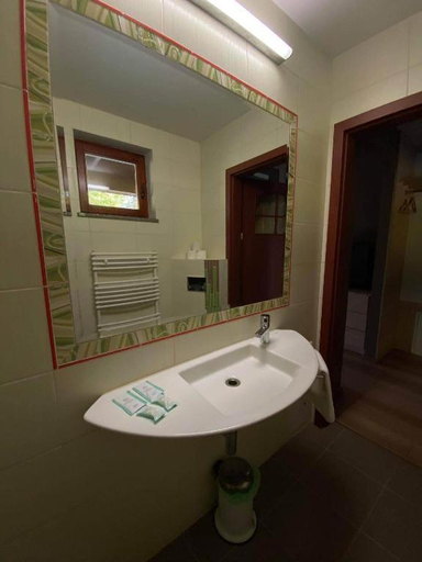 Bathroom 4, Stajnia Gostar, Jelenia Góra City