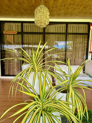 Others 4, Jardin De Ysabelle, Samal City