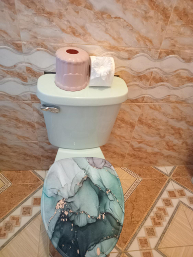Bathroom 5, The Gibson's Palace