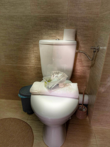 Bathroom, Casa Vadeanu, Giulesti