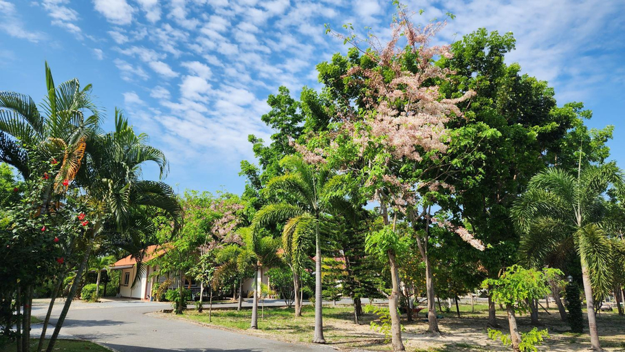 Others 4, ตะวันวิลเลจ, Pak Chong