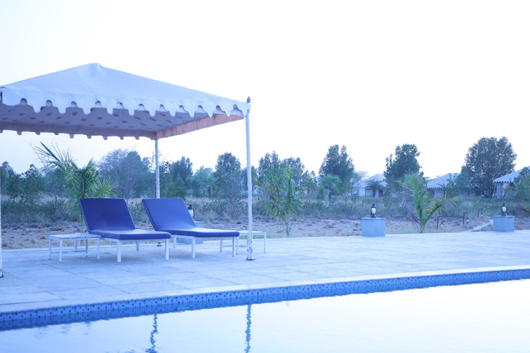Sport & Beauty 2, Jawai Bera Leopard Camp, Pali