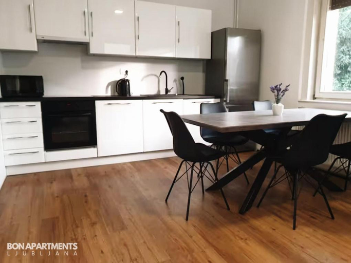 Others 4, Huge BBQ Garden 2, Spacious Flat, AC, Free Parking 2, Ljubljana