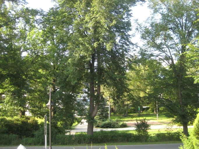 Others 4, Stilvolle Ferienwohnung im Vogtland mit Terrasse, Vogtlandkreis