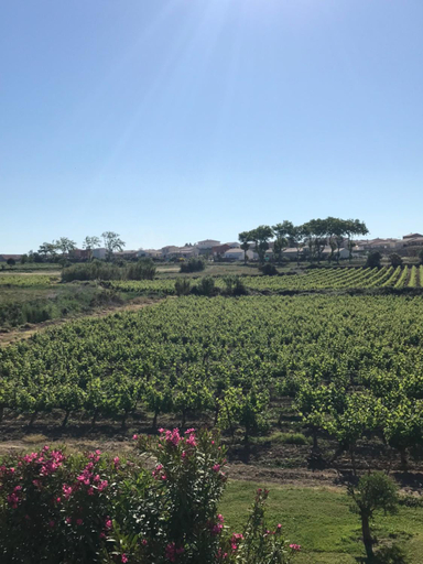 Others 3, Domaine de Peilhan, Hérault
