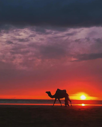 Others 3, Diman Surf Camp, Agadir-Ida ou Tanane