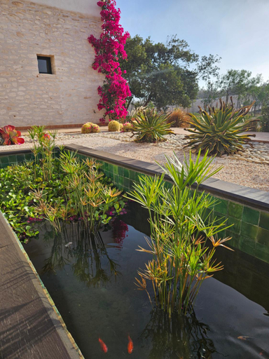 Sport & Beauty, Le Clos de la Roussiere, Essaouira
