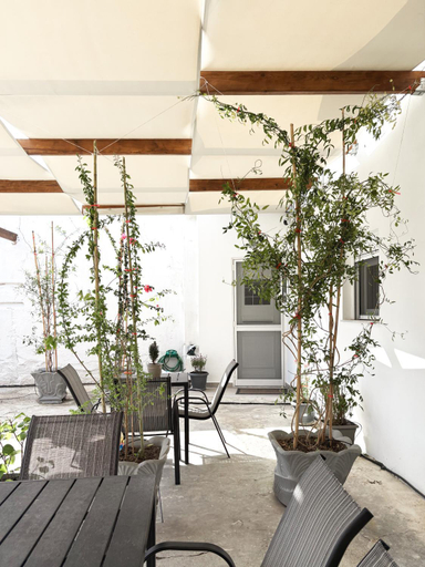 Garden 4, Relax under the mulberry tree, Crete