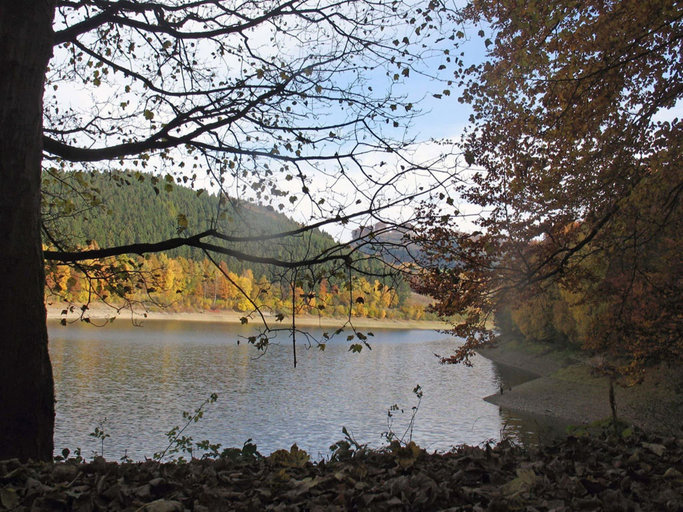 Others 5, Holiday home in Mielinghausen near ski area, Hochsauerlandkreis