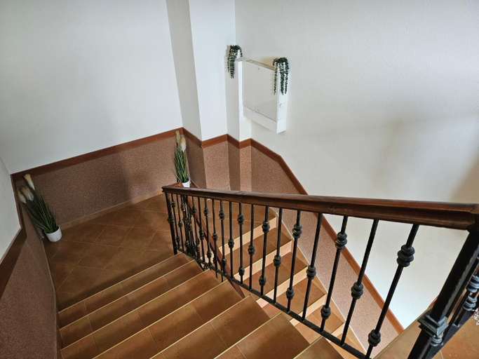 Others 3, Cтаи за гости Бърдареви, Bansko