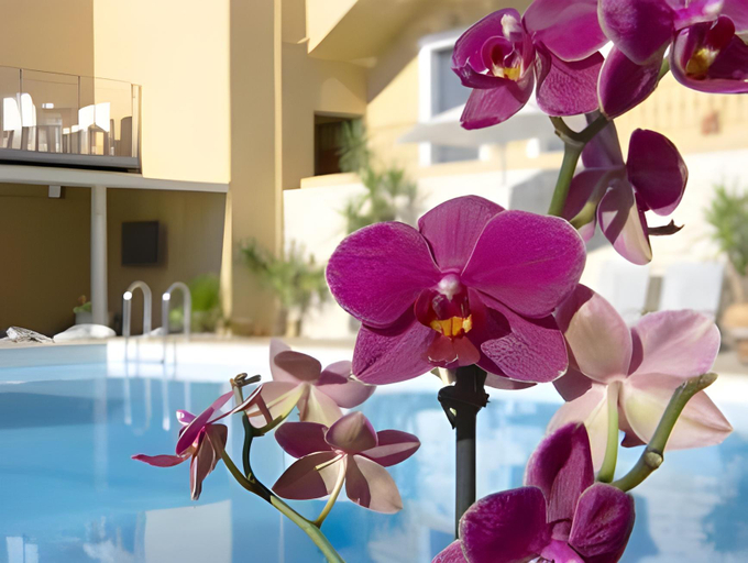 Exterior & Views 2, La Stella Suites, Crete