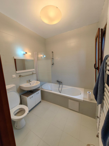 Bathroom, Raw Nature Cabin, Tarlungeni