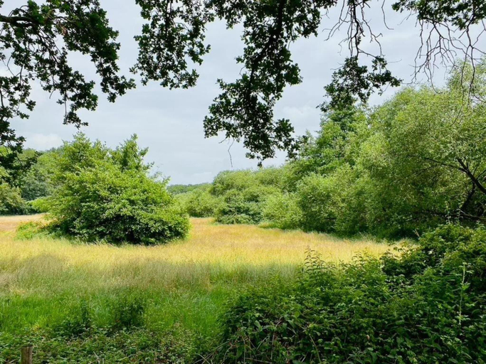 Others 5, Glamping Tent in Tranquil Park, Dalfsen