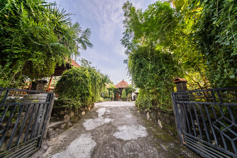 Others 4, Nusa Ceningan Bungalows, Klungkung