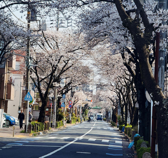 Others 3, 吉屋, Adachi