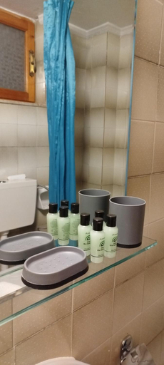 Bathroom 2, Vrachos Κanari, Peloponnese
