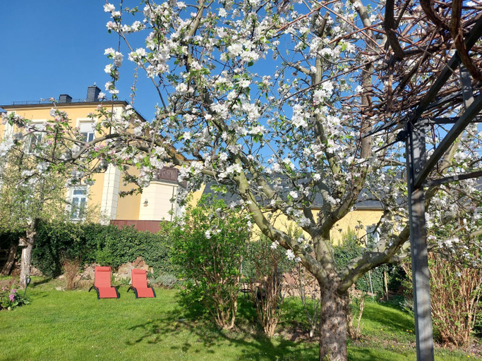 Others 5, Villa Tini, Meißen