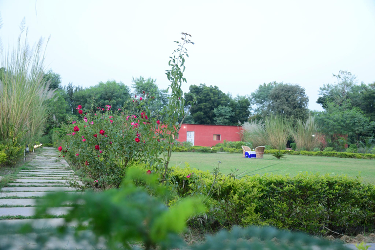 Others 4, Pritampalace the nature camp , Sawai Madhopur