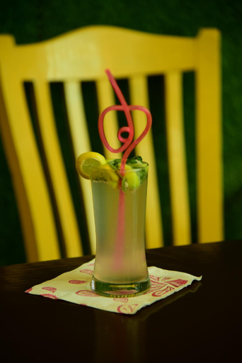 Food & Drinks 5, ASHOKA PALACE, Sawai Madhopur