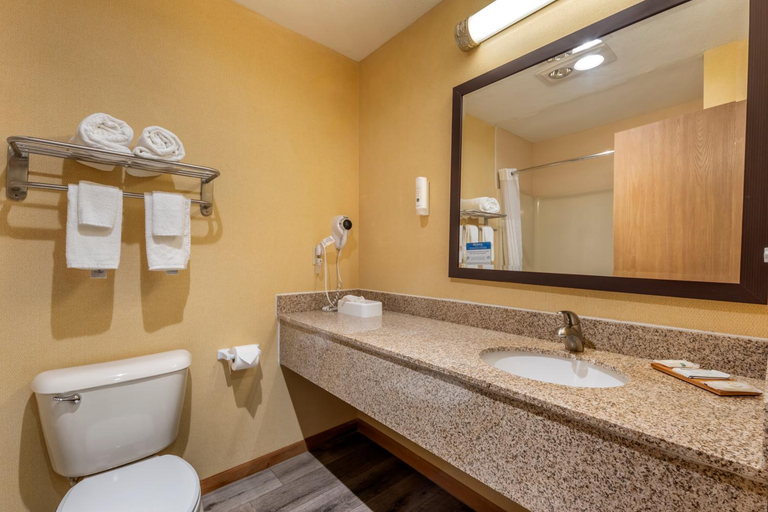 Bathroom 4, Quality Inn Greenville North, Darke