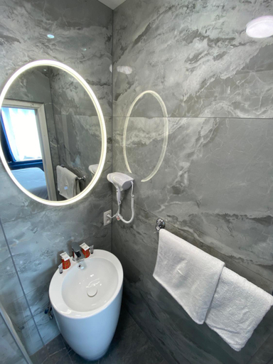 Bathroom 5, Hotel Windsor, Bruxelles