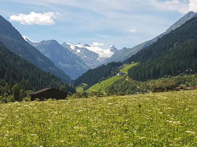 Others 4, Apartment in Neustift near Ski Lift, Innsbruck Land