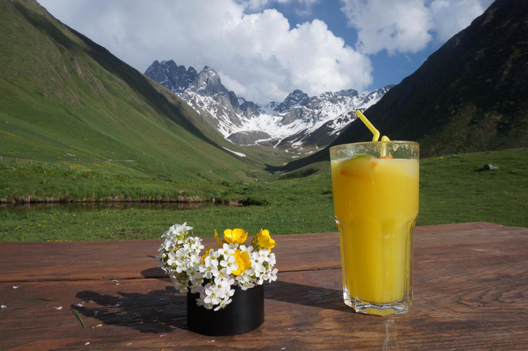 Others 3, Januka Garden at Sno, Kazbegi
