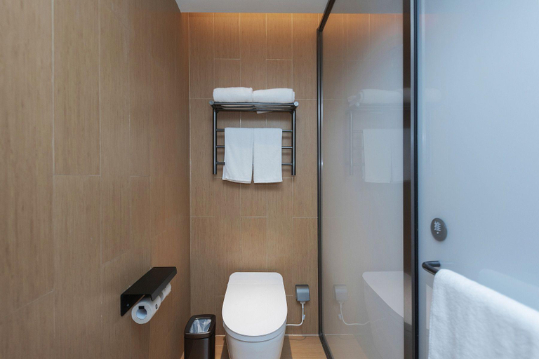 Bathroom 3, JI Hotel Handan Daming County Government, Handan