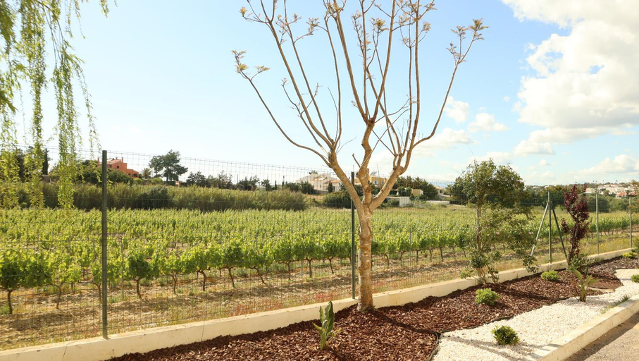 Others 5, Glenridge By Albufeira Rental, Albufeira