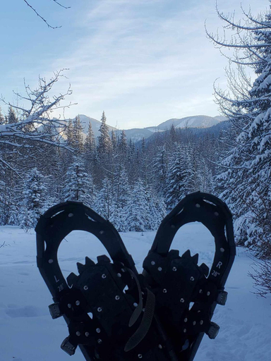 Others 5, Rocky Mountain Escape - Log Cabins & AuroraSphere Glamping Dome - Rock Lake, Division No. 14