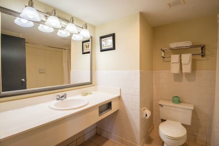 Bathroom 3, Dominion Inn & Suites, Henrico
