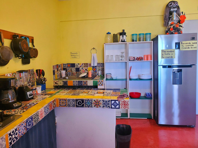 Food & Drinks, Anamaya Hostal, Xilitla