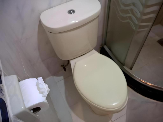 Bathroom 4, Naga Land Hotel, Naga City