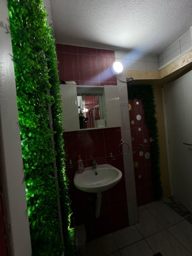 Bathroom 2, Rooms Vedran & AURUM Private Spa, Herzegovina-Neretva