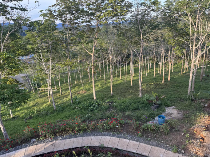 Others 5, Helens Mountain Resort, Arakan