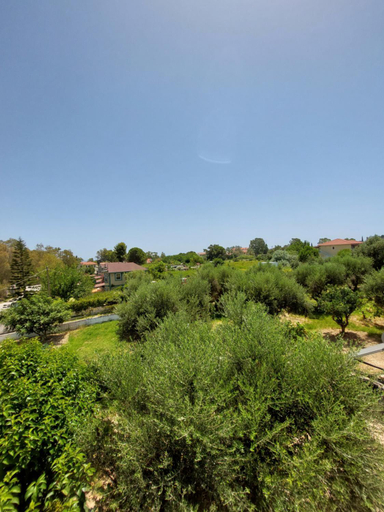 Surrounding environment 3, Xi View Apartments, Ionian Islands