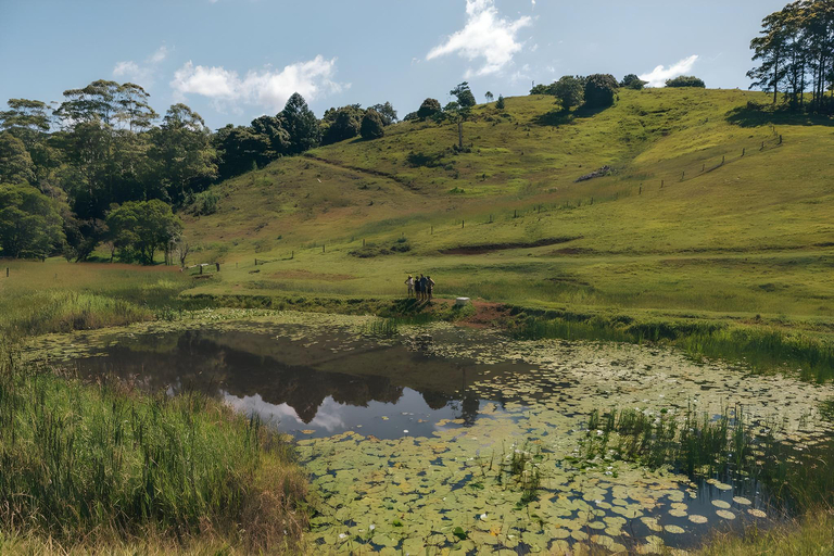 Others 4, Watersmeet Homestead, Caboolture - Hinterland