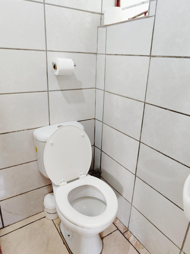 Bathroom 4, Zina, City of Tshwane