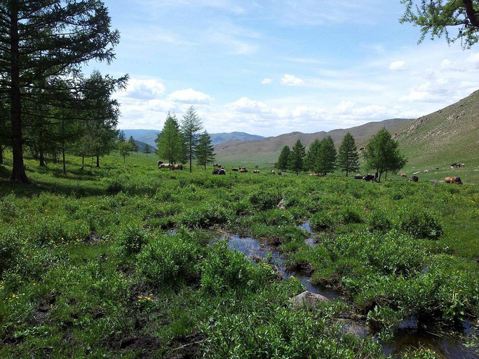 Others 2, Dream Adventure Mongolia, Ulan Bator