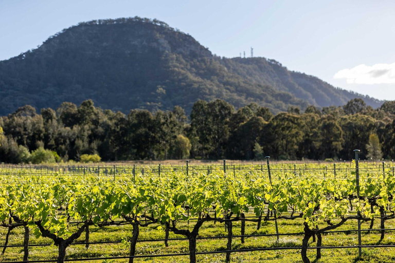 Others 5, Brokenback Vineyard Cottage, Cessnock