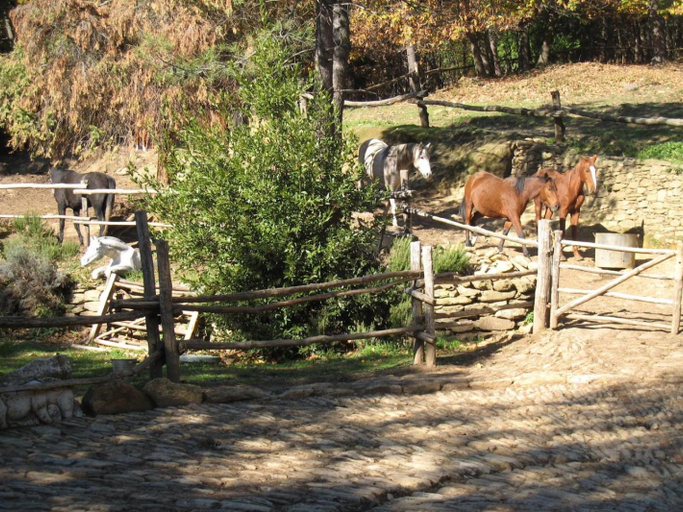 Others 5, Centro Trekking a Cavallo Monte Brugiana, Massa Carrara