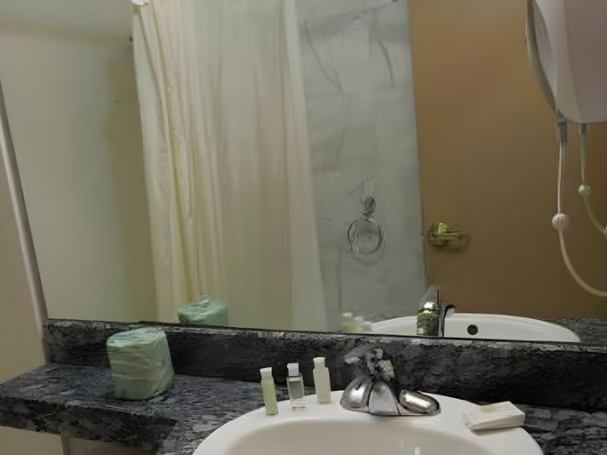 Bathroom 4, Red Carpet Inn Brooklyn, New York