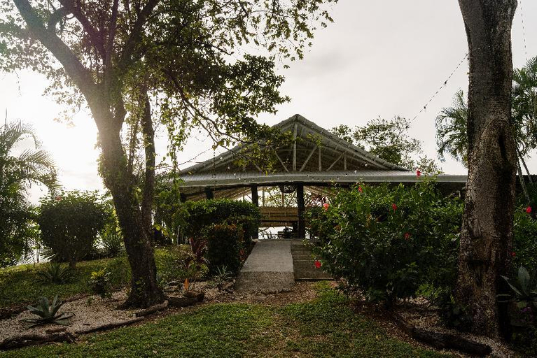 Public Area, The Bohemian Lagarto, Santa Cruz