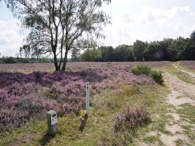 4, Spa Villa by Salland Forest, Ommen